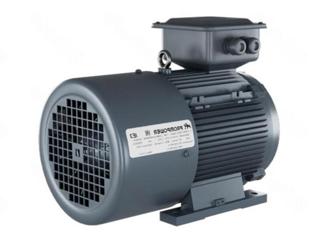Электродвигатель 1LE9003-1EC43-3AA4 PROMPOWER